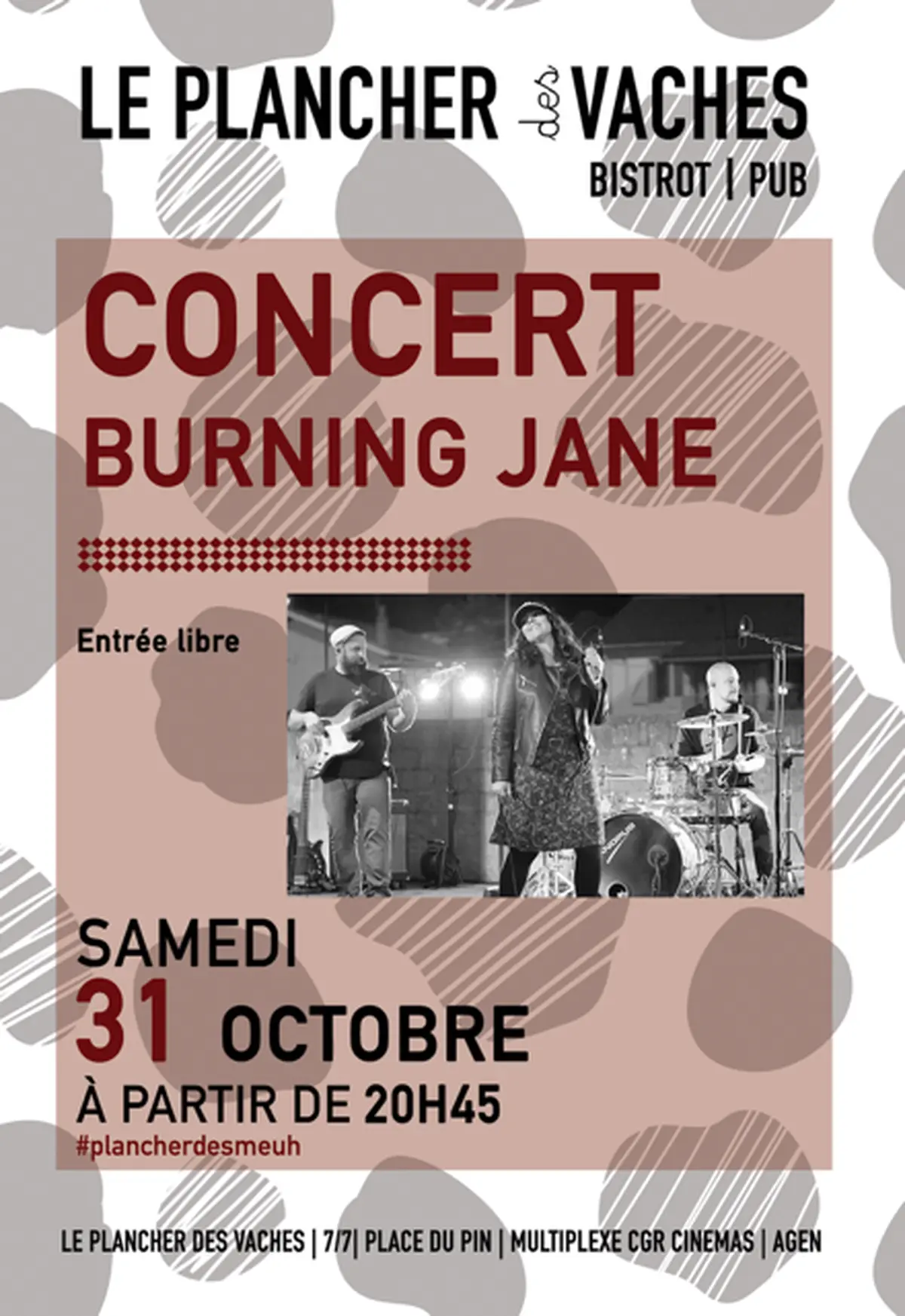 Concert Avec Burning Jane