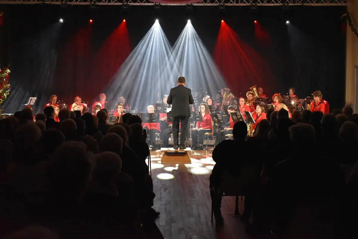 Concert avec l'Ensemble Orchestral du Palais
