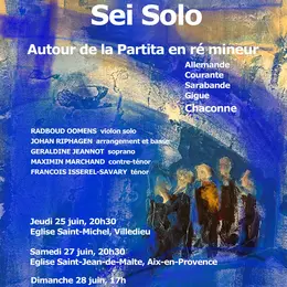 Concert : Bach – Sei Solo : « autour de la Partita en ré mineur »