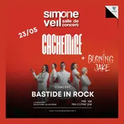 Concert Bastide in rock - Cachemire