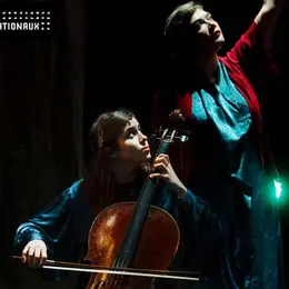 Concert - Birds on a wire