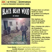 Concert Black Bean Wood