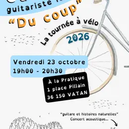 Concert Caillou - guitariste itinérant