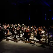 Concert: Carte Blanche Orchestres à Cordes