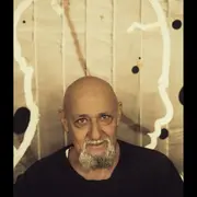 Concert : CharlÉlie en contreband