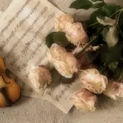 Concert conté de Noël