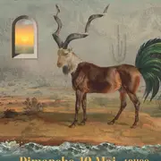 Concert - Cordovas + Gavin Kattesh (Nashville - USA)