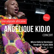 Concert d'Angélique Kidjo