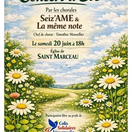 Concert d'été à Saint Marceau