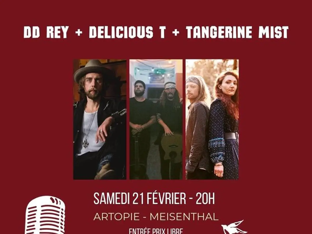 Concert DD Rey + Delicious T + Tangerine Mist