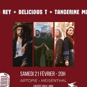 Concert DD Rey + Delicious T + Tangerine Mist