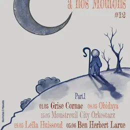 Concert de Ben Herbet Larue