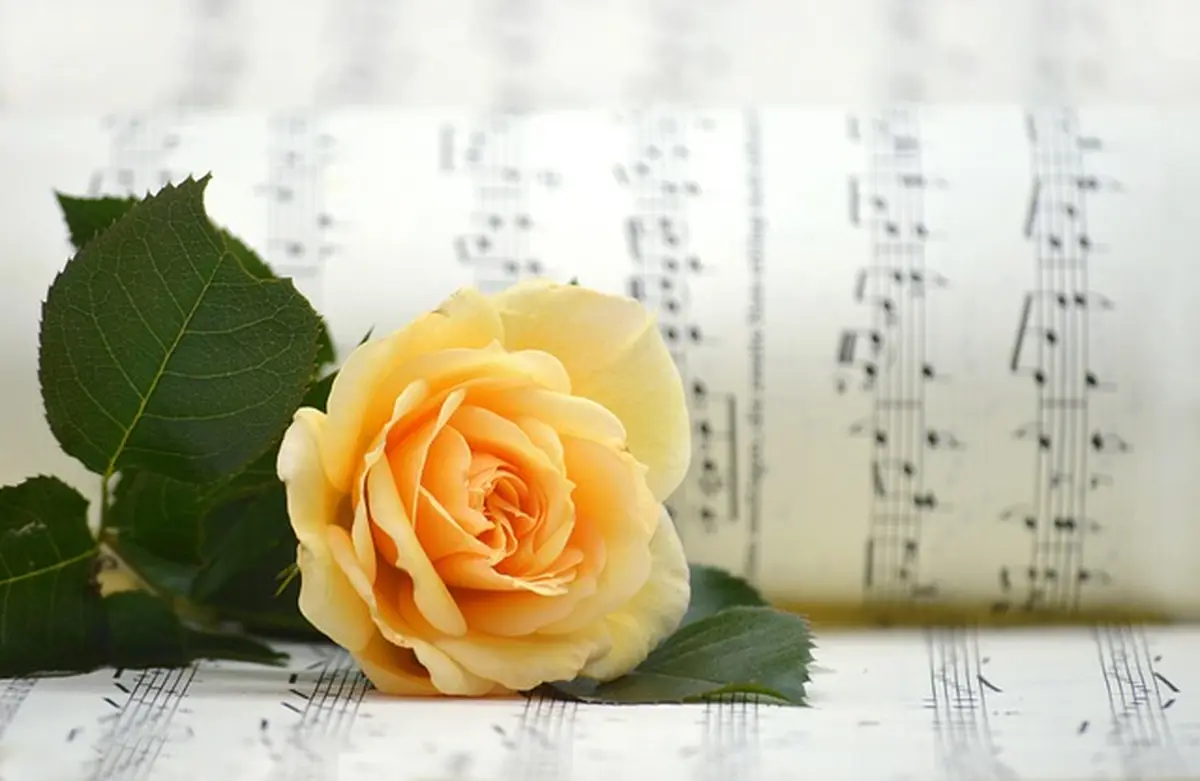 Concert de Choeur à Coeur