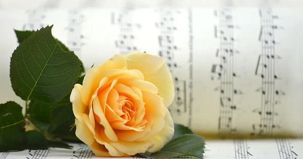 Concert de Choeur à Coeur