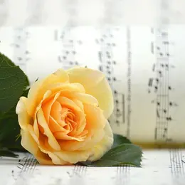 Concert de Choeur à Coeur