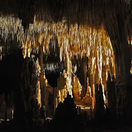 Concert de Christophe Nédélec aux grottes de Cougnac