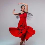 Concert de Flamenco