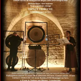 Concert De Gong'S Symphonium