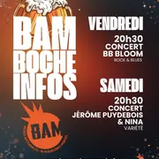 Concert de Jérôme Puydebois et Nina à la brasserie BAM