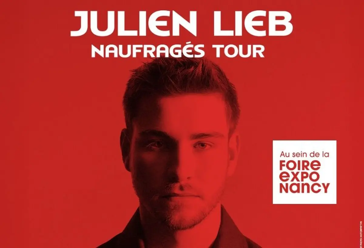 Concert de Julien Lieb à la Foire Expo de Nancy 2026