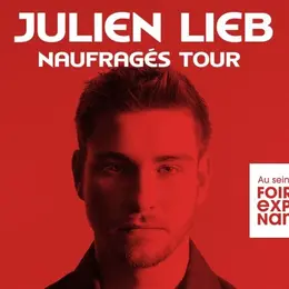 Concert de Julien Lieb à la Foire Expo de Nancy 2026