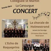 Concert De L'écho De Roqueprins Et Des élèves De L'école