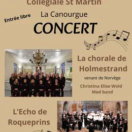 Concert De L'écho De Roqueprins Et Des élèves De L'école