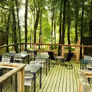 Concert de l'été Thomas Capé à l'étape en forêt
