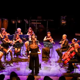 Concert de l'orchestre à cordes