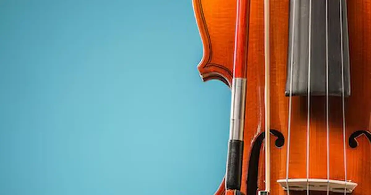 Concert de l'Orchestre à Cordes Nord Deux-Sèvres