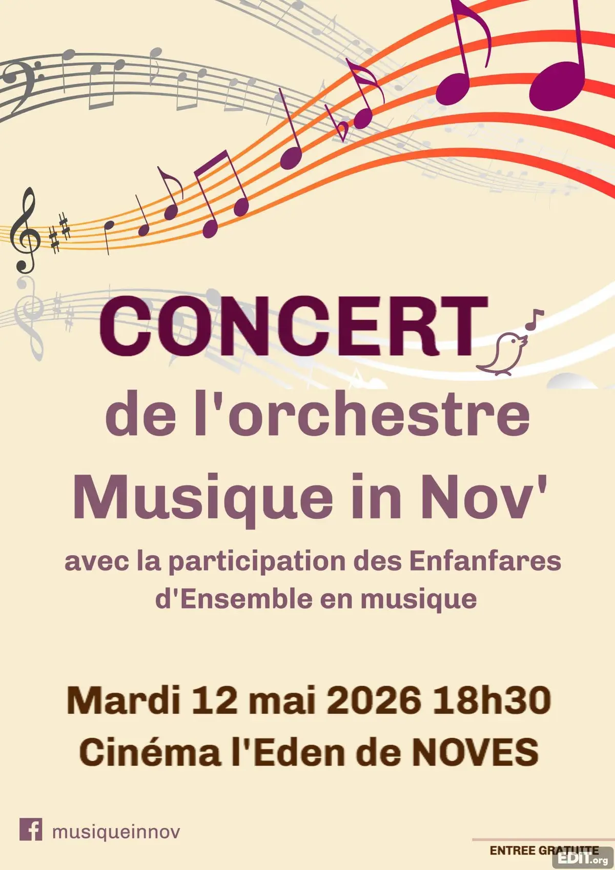 Concert de l'orchestre Musique in Nov'