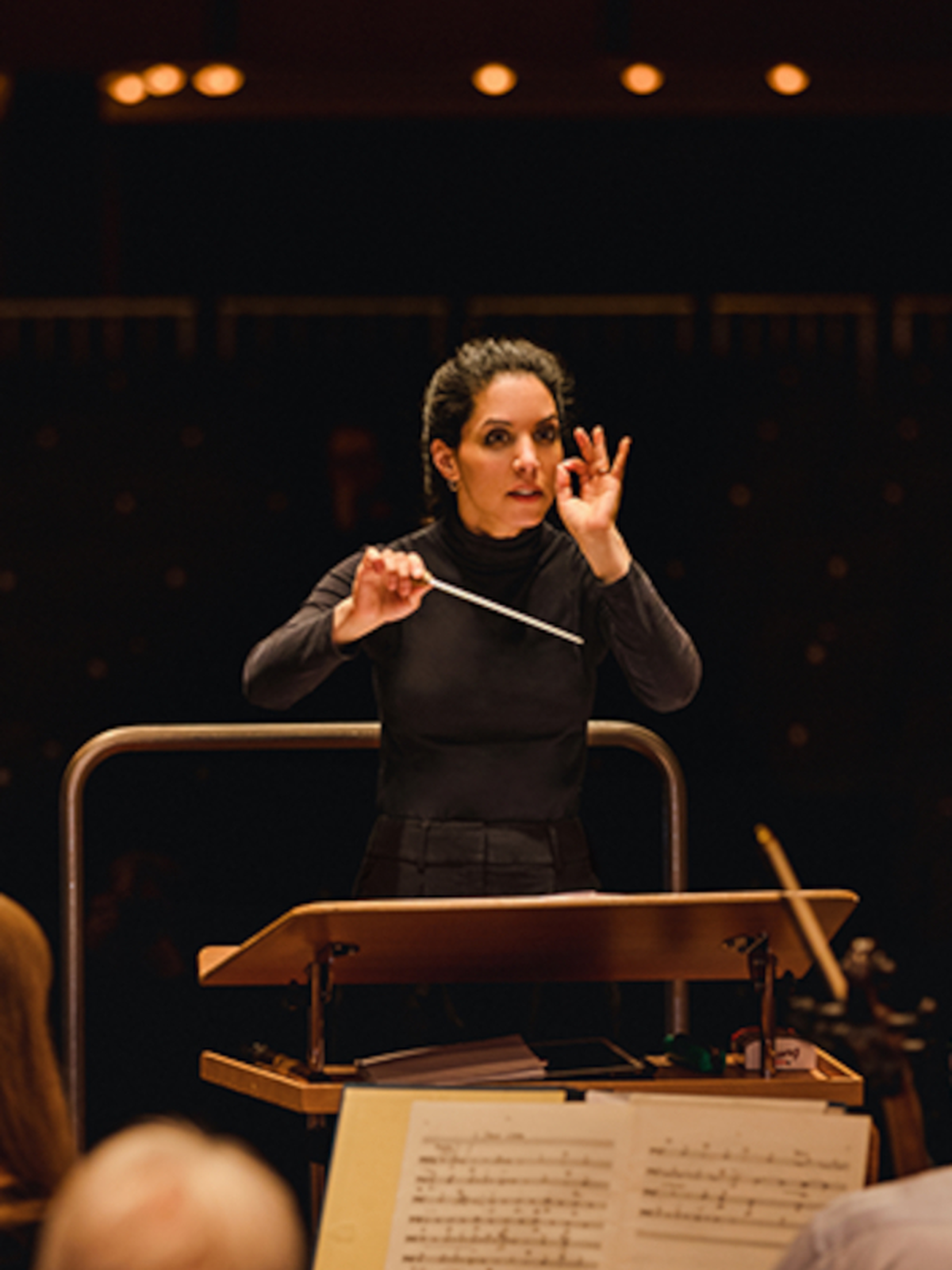Concert de l'Orchestre Philharmonique de Marseille - Sur le Danube