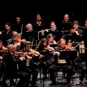 Concert de l'Orchestre Symphonique de Chartres