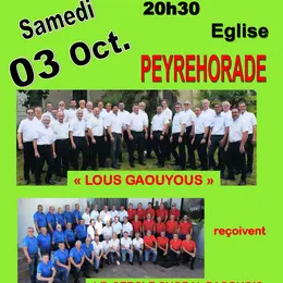 Concert de Lous Gaouyous