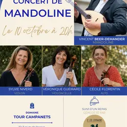Concert de mandoline