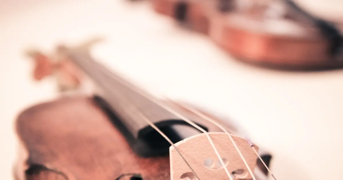 Concert de musique classique à l'atelier-galerie Le 10