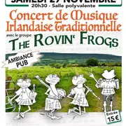 Concert  de musique Irlandaise traditionnelle