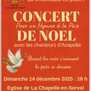 CONCERT DE NOEL Hymne à la Paix