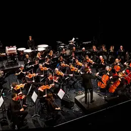 Concert de Nouvel An - Orchestre Allegro Vi'vosges