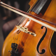 Concert de quatuor à cordes