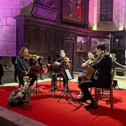 Concert de quatuorà cordes