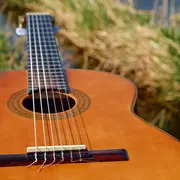 Concert De Trio Alfa