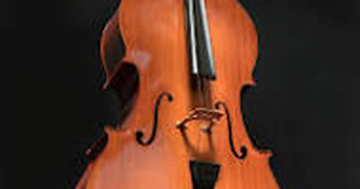 Concert de violoncelle par les élèves de Vincent Noblesse