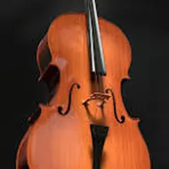 Concert de violoncelle par les élèves de Vincent Noblesse