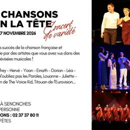 Concert - Des Chansons Plein la Tête
