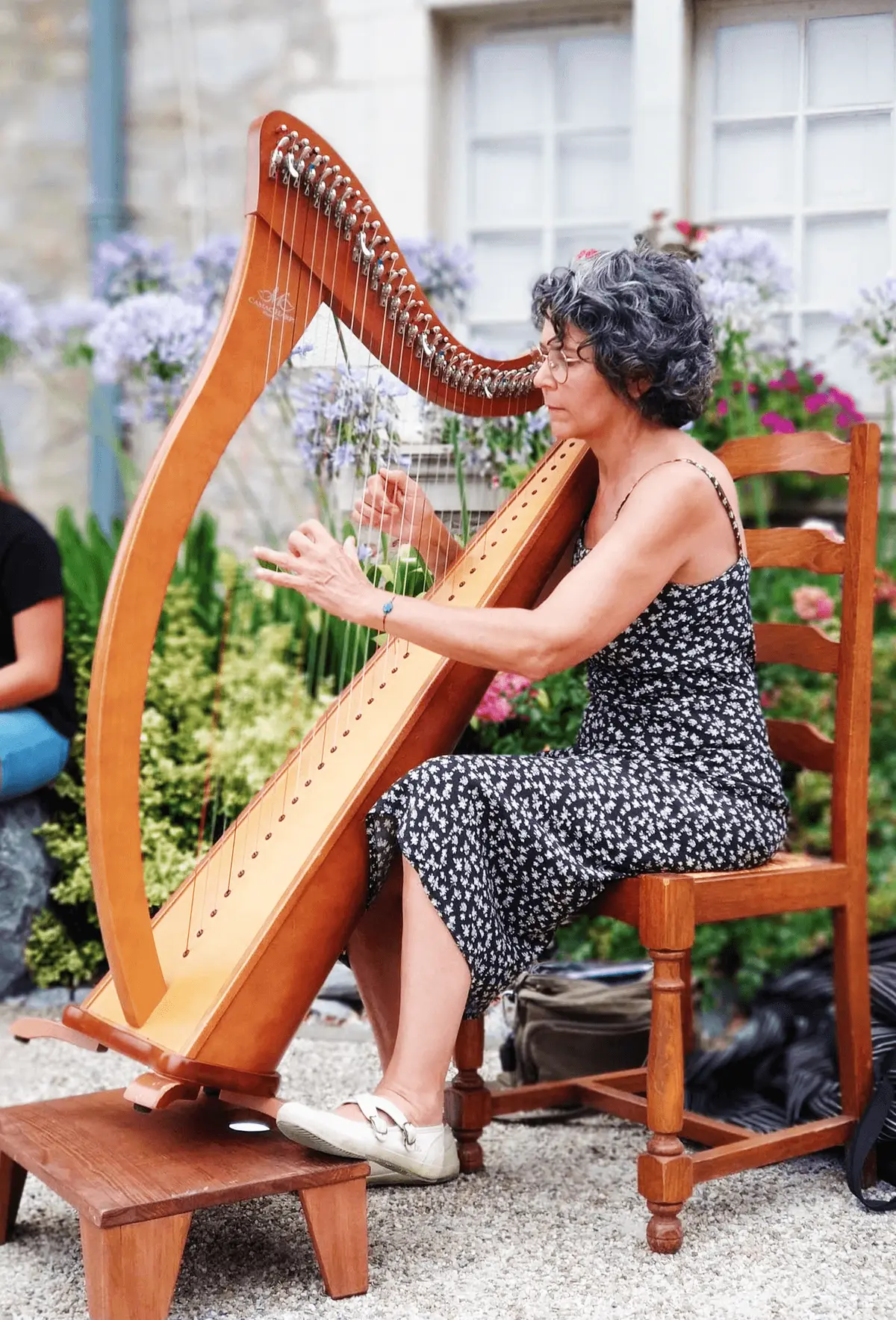 Concert des harpes et violons