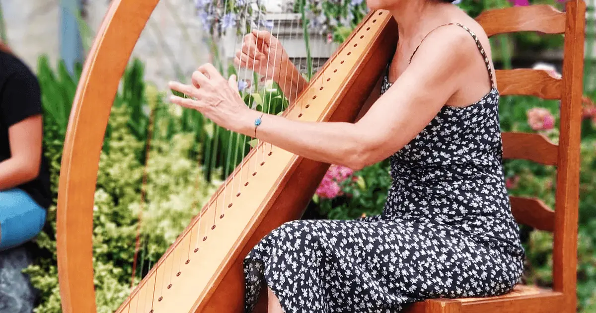 Concert des harpes et violons
