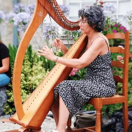 Concert des harpes et violons