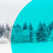 Concert des Orchestres à cordes et à vent