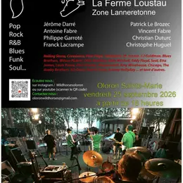 Concert des Wild Horses